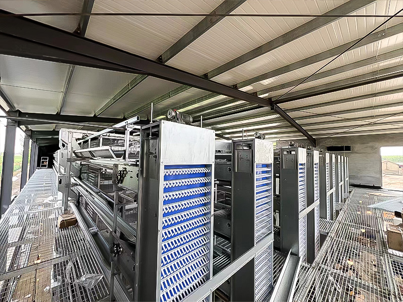 HZY Turnkey Poultry Farm Project in China for 62,000 Layers