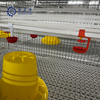 Poultry Farm Equipment Automatic Poultry Chicken Drinking Line