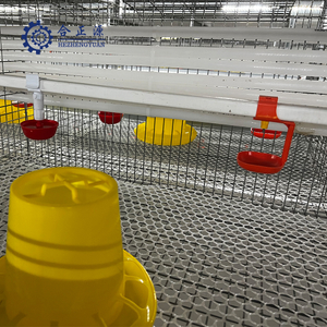 Poultry Farm Equipment Automatic Poultry Chicken Drinking Line