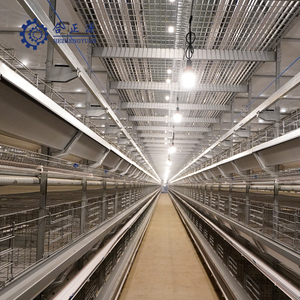 Supply Completely Automatic Poultry Lighting System for Laying Hen H Type Chicken Cages System