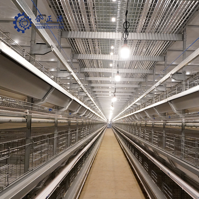 Supply Completely Automatic Poultry Lighting System for Laying Hen H Type Chicken Cages System