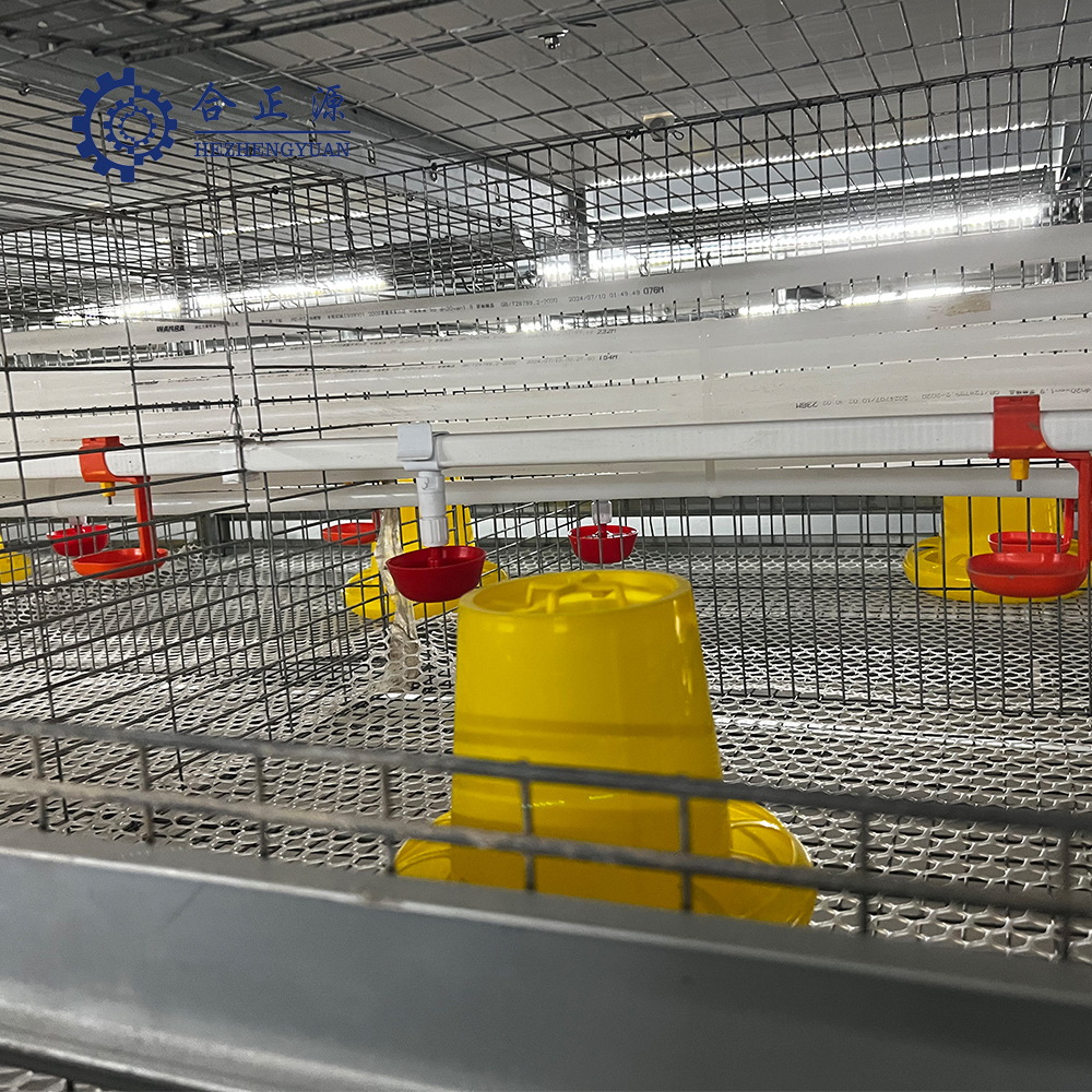 Commercial poultry farm interior showing automated cage architecture