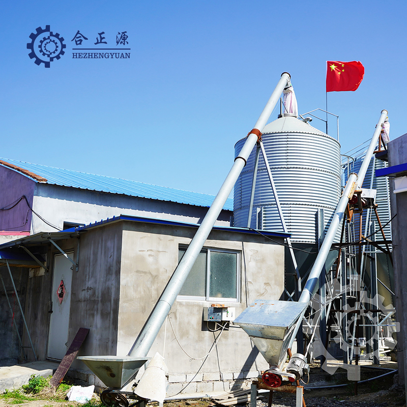 Galvanized Poultry Feeding System Steel Silo for Sale