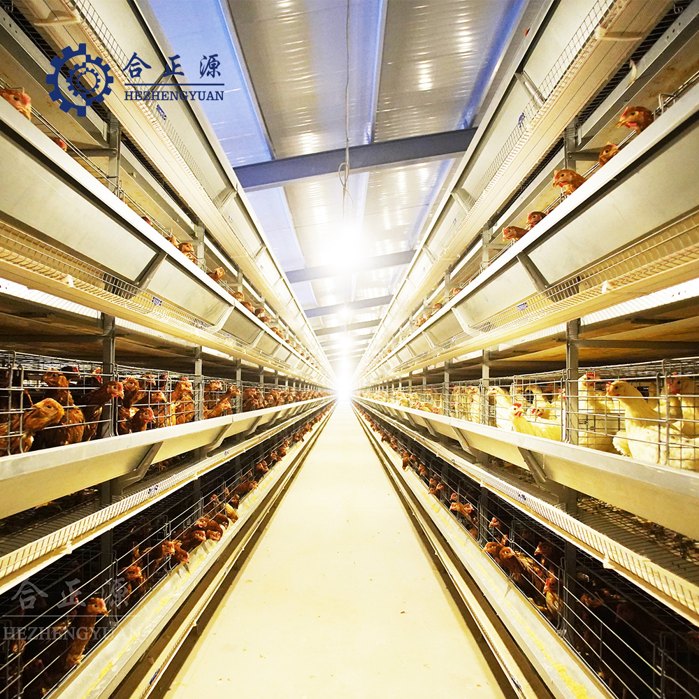 Laying Coop H Type Broiler Cages Feeder Battery Cage System