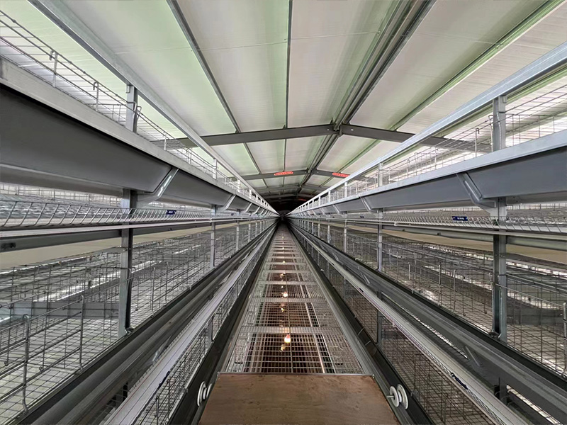 HZY Turnkey Poultry Farm Project in China for 62,000 Layers