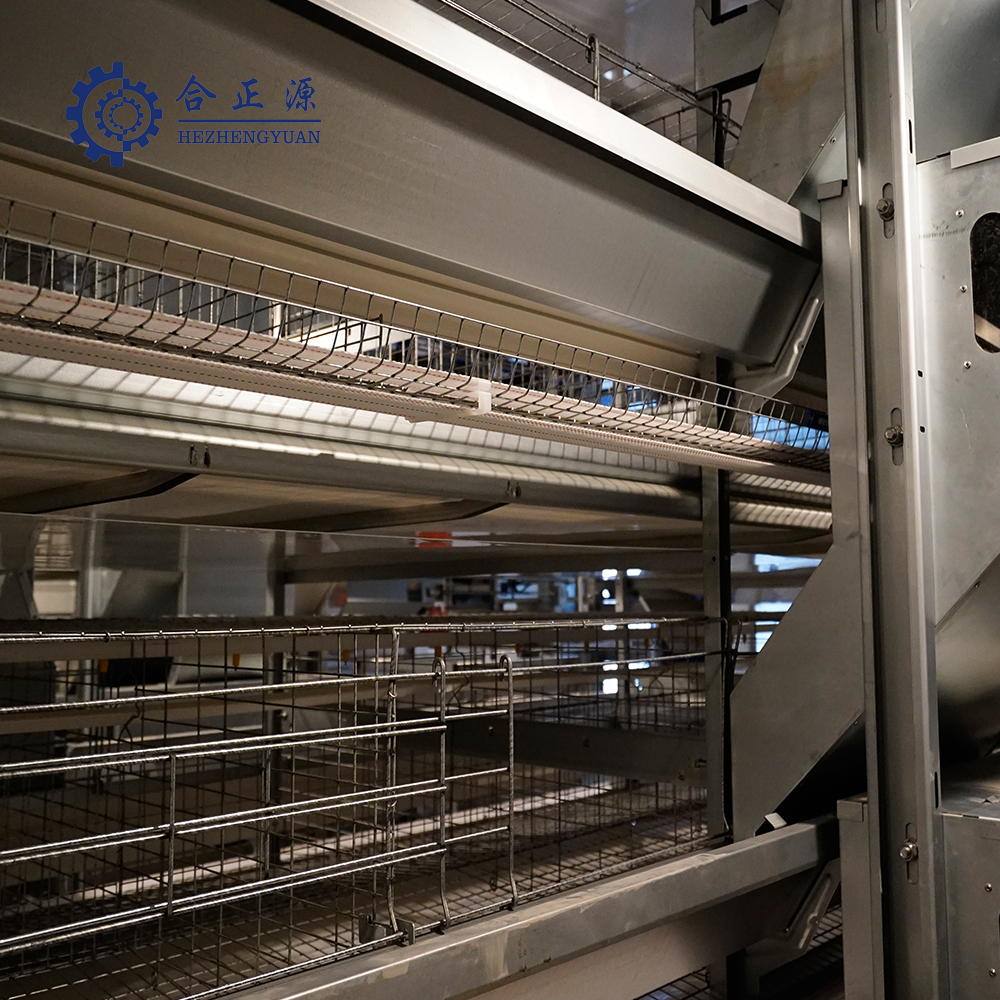 Laying Coop H Type Broiler Cages Feeder Battery Cage System