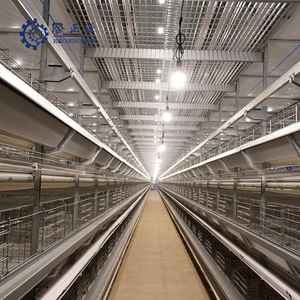 H Type Poultry Battery Cages 6 Tiers For Sale