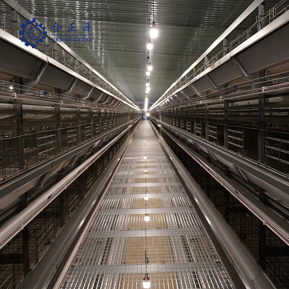 Poultry Lighting system