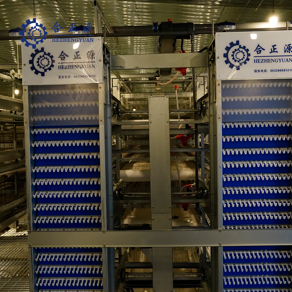 Automatic Egg Collection System